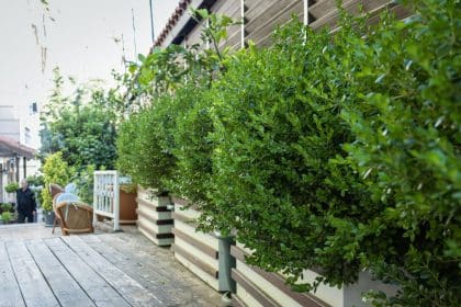 Composter chez soi : démarrer simplement