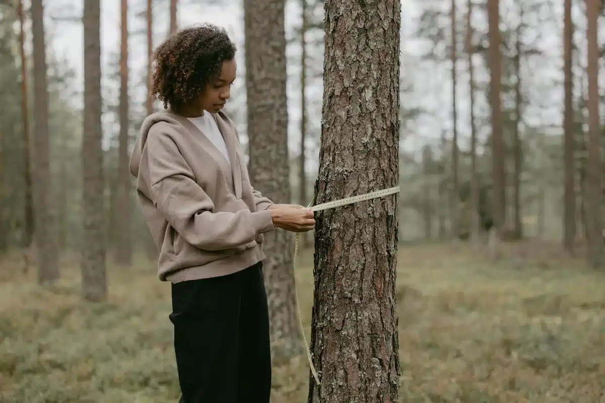 Mesure de la hauteur d'un arbre et de la distance de plantation depuis la limite de propriété