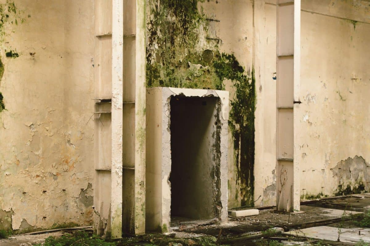 Mur humide avec traces de moisissure et d'infiltration d'eau