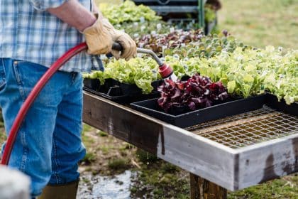 Terrasse : bois, pierre ou carrelage, comment choisir le bon revêtement