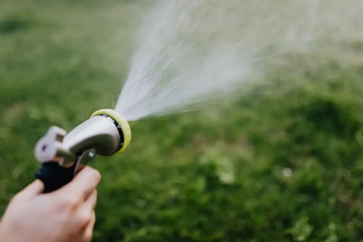 Arrosage en pluie fine d'une jeune pelouse pour éviter de déplacer les graines