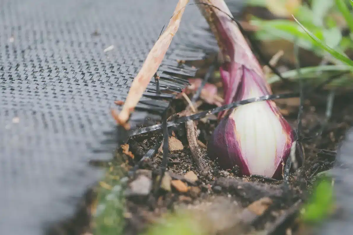 Nappe géotextile posée sous du gravier dans une allée de jardin