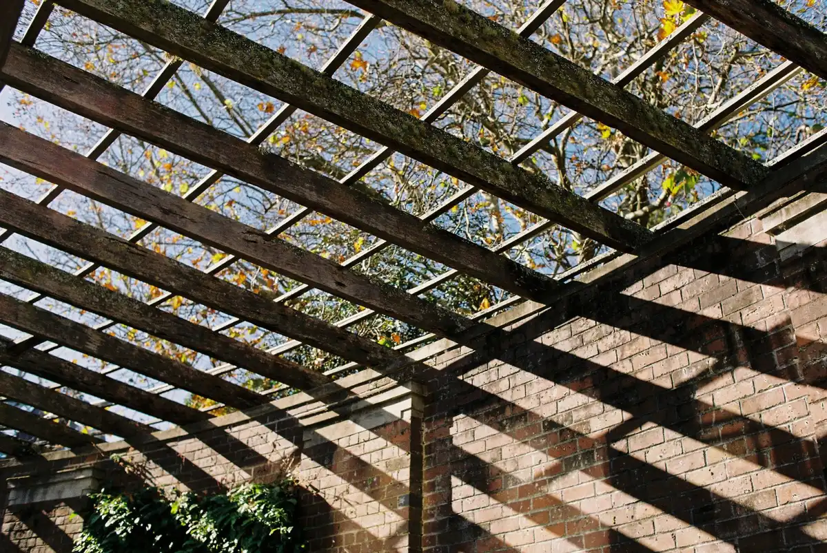 Ombre et lumière dans un jardin avec pergola adossée à la maison