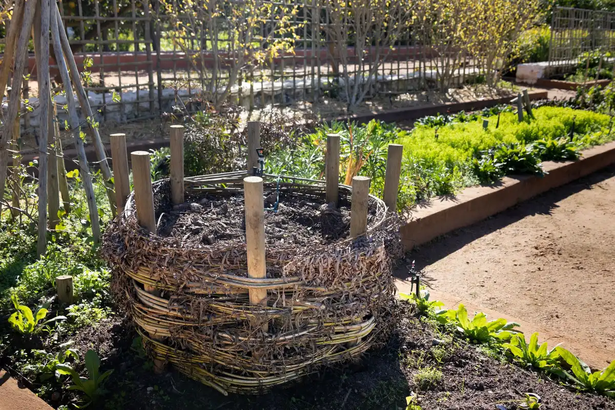 Petit bac à compost intégré dans un espace de jardin restreint