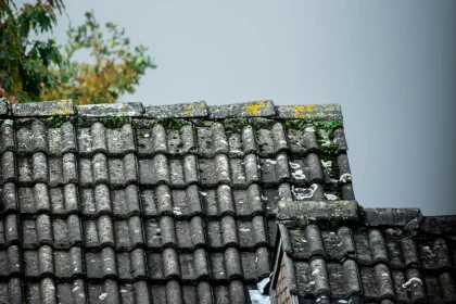 Toit recouvert de mousse verte et de lichens sur les pans nord, avec des gouttières encrassées