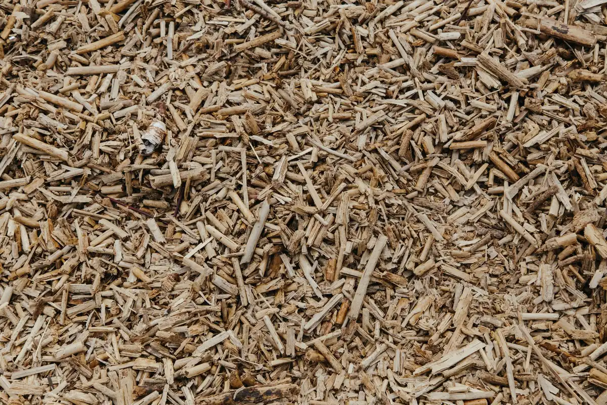 Tas de branchages et débris verts accumulés après la taille d'une haie