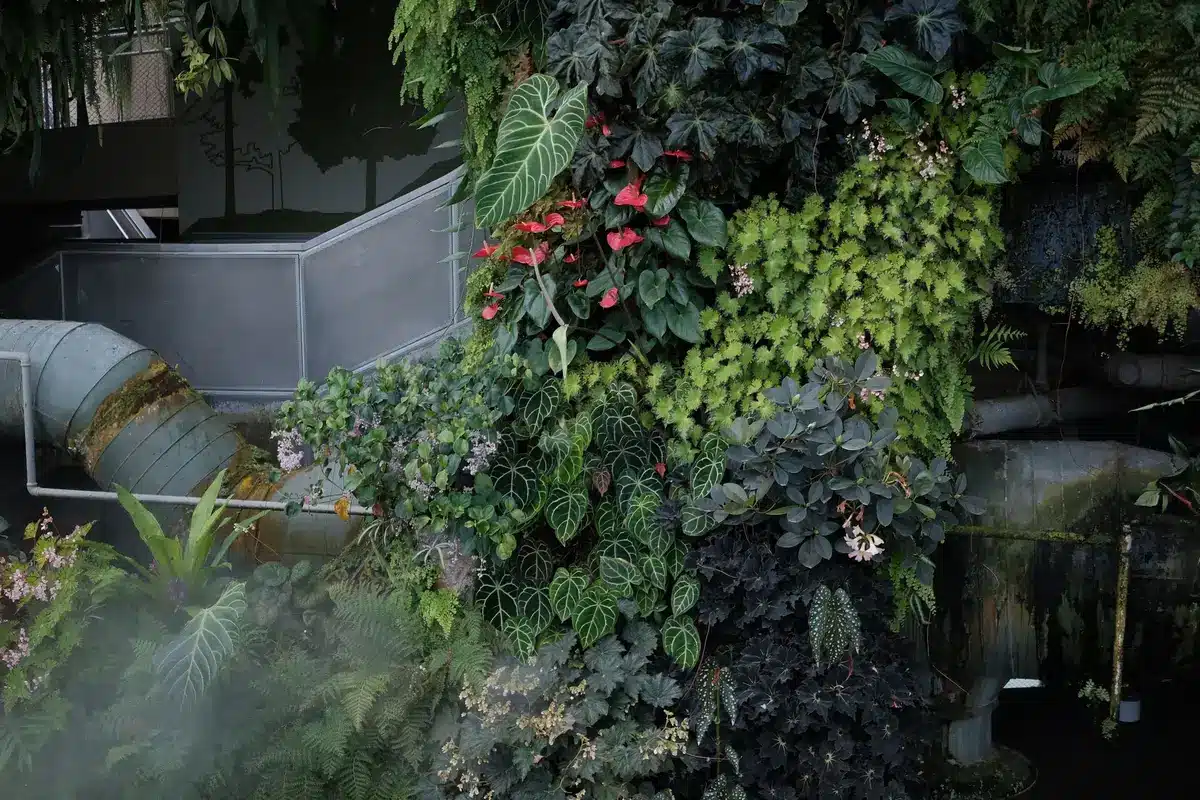 Comment installer facilement un mur végétal extérieur sans entretien ?