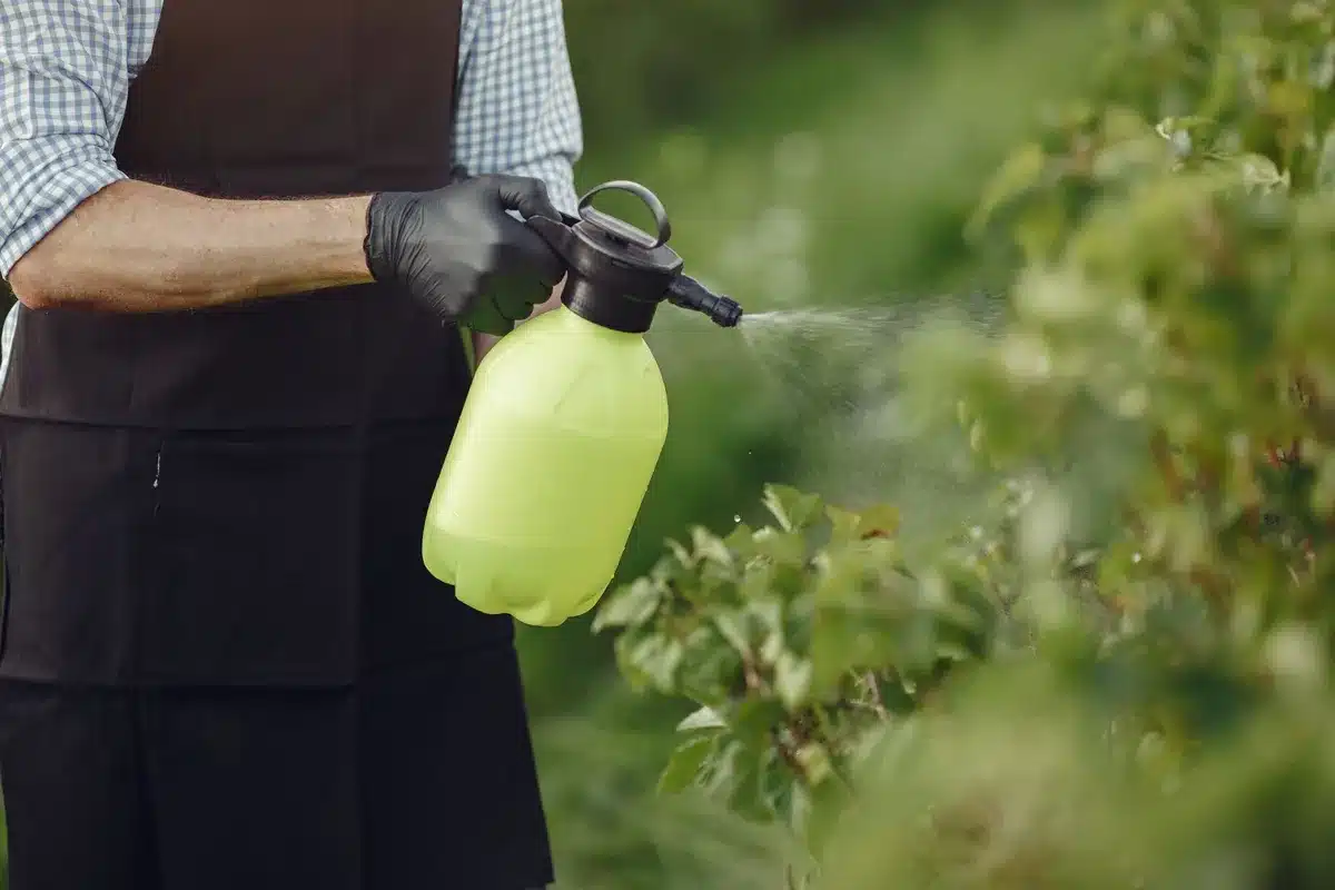 Saupoudrage de bicarbonate de soude sur une surface en dalles