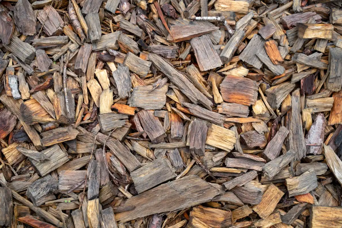Tas de branches et bois sec empilés pour créer une haie sèche naturelle