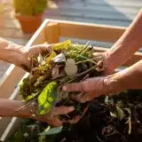 Comment valoriser les déchets verts en 7 idées efficaces ?
