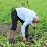 Dix astuces naturelles pour désherber le potager facilement