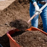 Dix astuces pour améliorer la qualité du sol de votre jardin