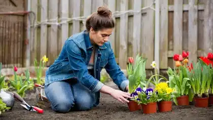 Dix astuces pour aménager un petit jardin et gagner de l'espace