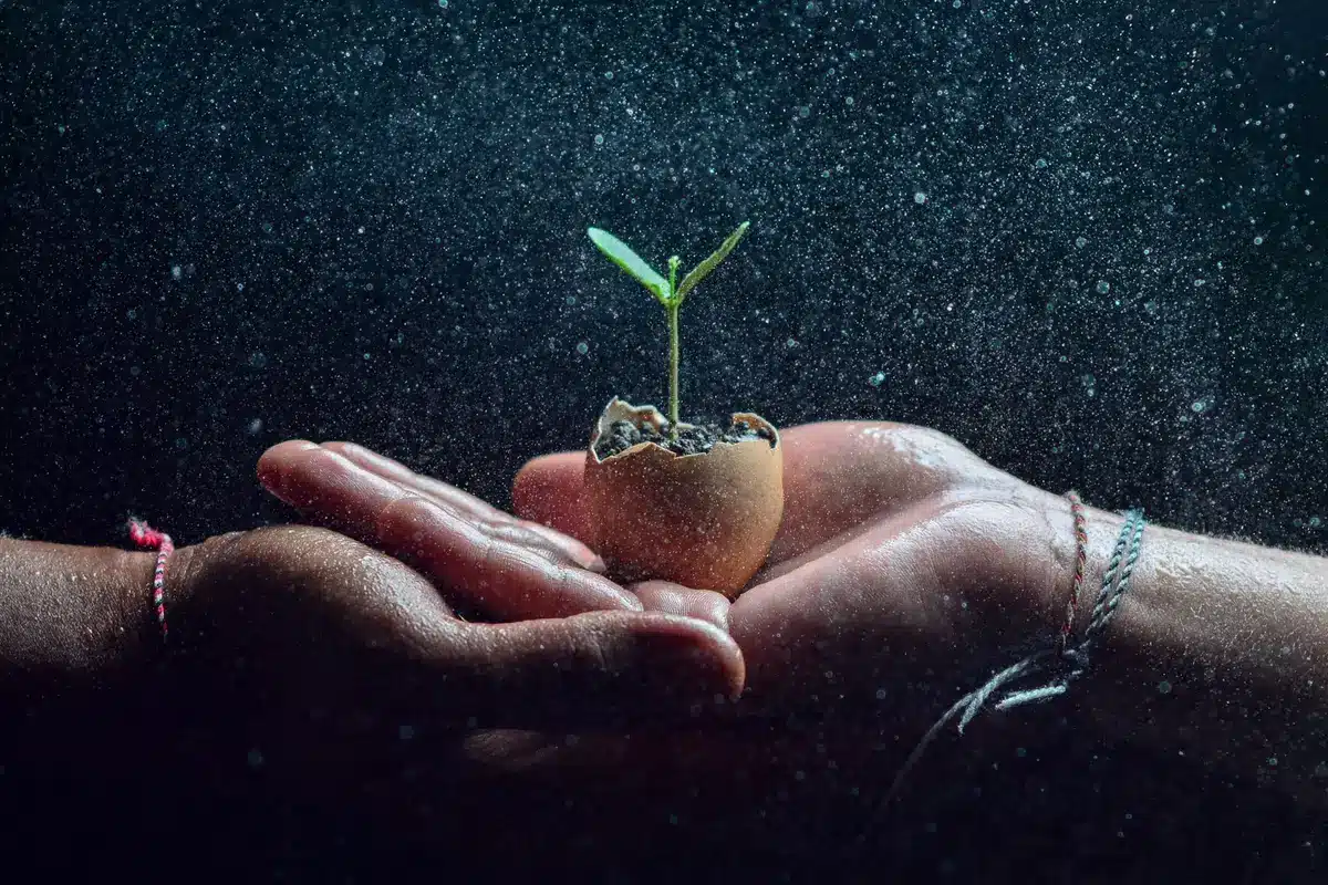 Main touchant le sol d'une plante pour vérifier son humidité
