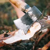 Mastic cicatrisant pour arbres : faut-il l’utiliser et quand ?