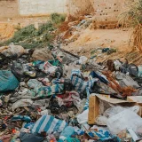 Que faire si votre voisin stocke des déchets dans son jardin ?