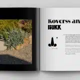 Quelles plantes faciles résistent à la sécheresse et au manque d’eau ?