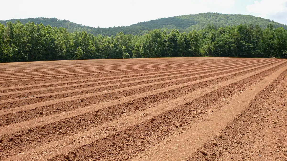 Technicien sur un terrain effectuant un prélèvement de sol près d'une pente