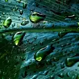 Comment convaincre l’assemblée générale d’installer la récupération d’eau de pluie en copropriété ?