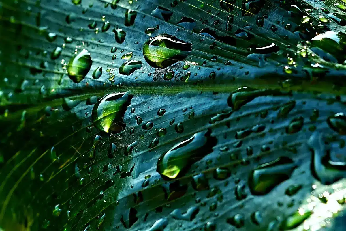 Comment convaincre l’assemblée générale d’installer la récupération d’eau de pluie en copropriété ?