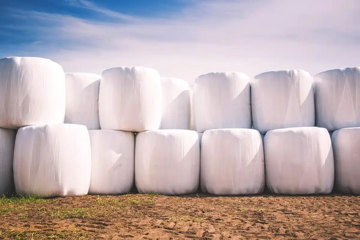 Main prenant de la terre près d'une pelle et d'un tas de compost