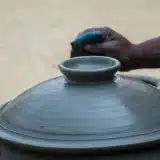 Comment rempoter et repiquer du persil acheté en pot ?