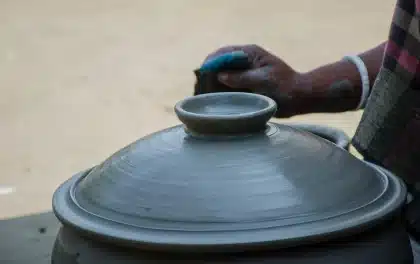 Mains séparant des plants de persil d'un pot commercial au-dessus de terreau humide