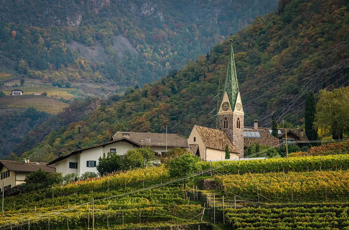 Vignes prestigieuses sur un terroir de renom, illustrant la valeur du foncier viticole.