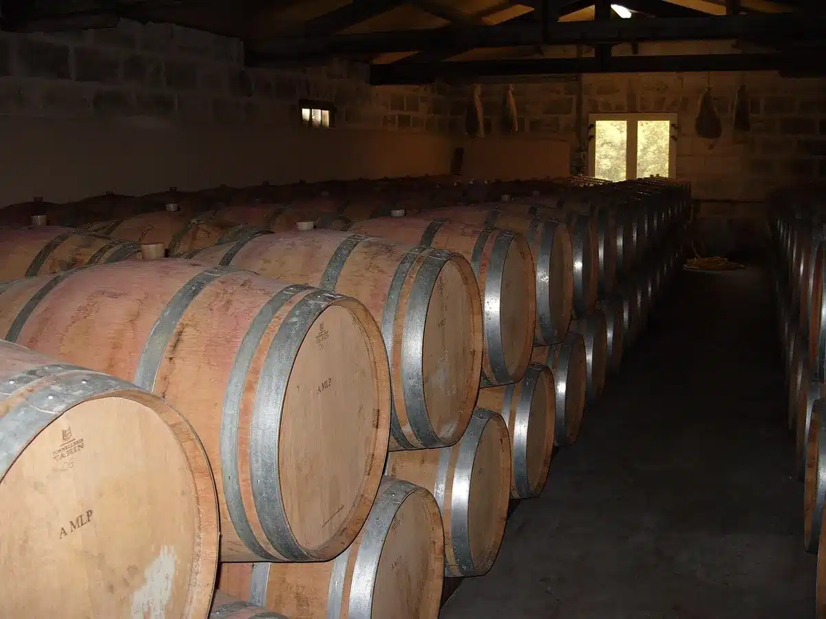 Inspection d'un chai avec équipements de vinification et barils traditionnels.