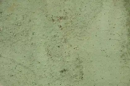 Mains appliquant un enduit en terre et paille sur une ossature bois