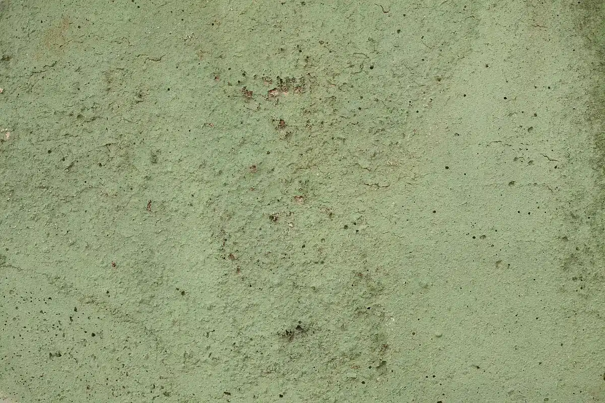 Mur en torchis : étapes, matériaux et erreurs à éviter