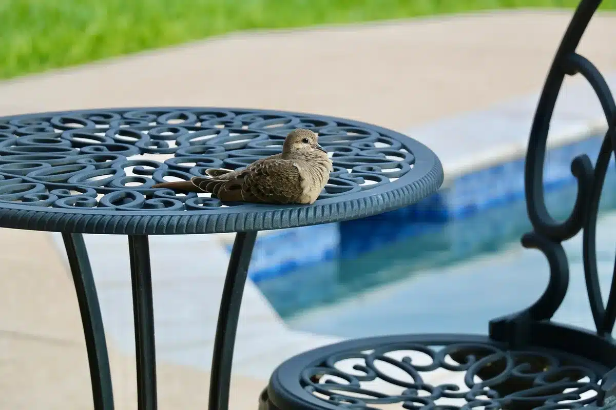 Terrasse aménagée avec mobilier et plantes pour la mise en valeur