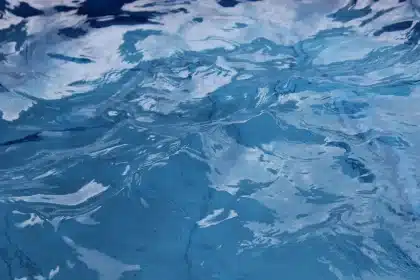 Bord de piscine et terrasse avec haie et clôture en arrière‑plan