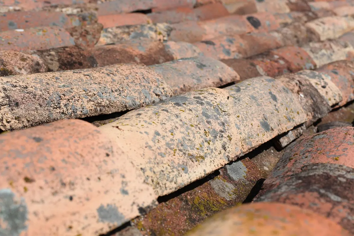 Quelle solution choisir pour l’étanchéité de mon toit : travaux et prix selon le type de toiture ?