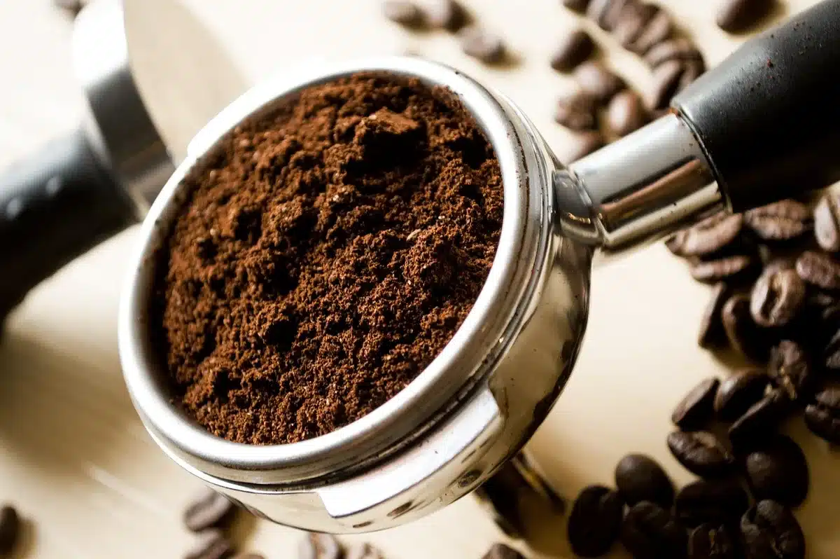Substrat de marc de café mélangé à mycélium pour cultiver des pleurotes