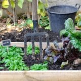 Comment préparer son potager en carrés pour l’automne et l’hiver ?