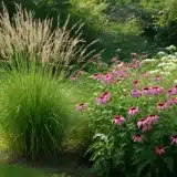 Cinq idées pour mettre en valeur les graminées au jardin