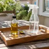 Comment fabriquer un insecticide naturel à l’huile végétale efficace pour le jardin ?