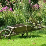Comment planter un arbuste à racines nues et assurer sa reprise ?