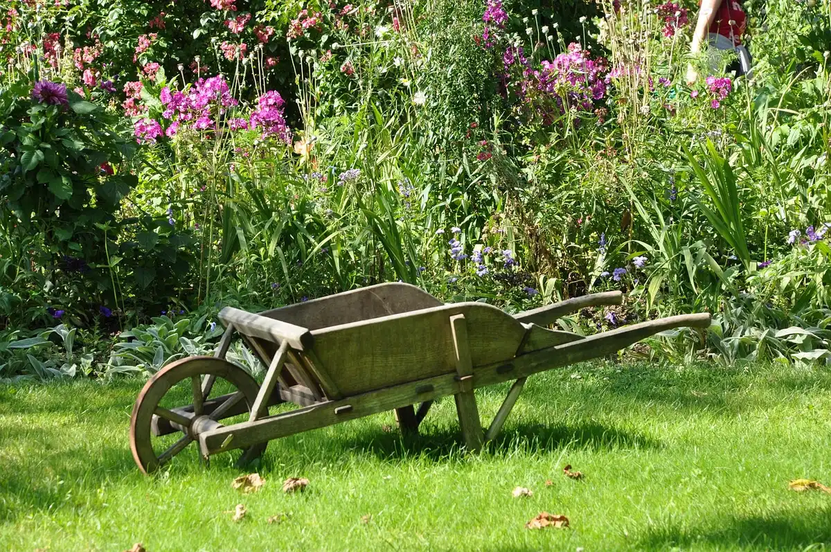 Jardinier préparant la plantation d'un arbuste à racines nues en plein jour