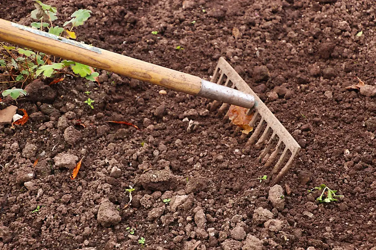 Main gantée creusant un trou et préparant la motte pour la plantation