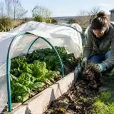 Comment préparer son potager en carrés pour l’automne et l’hiver ?