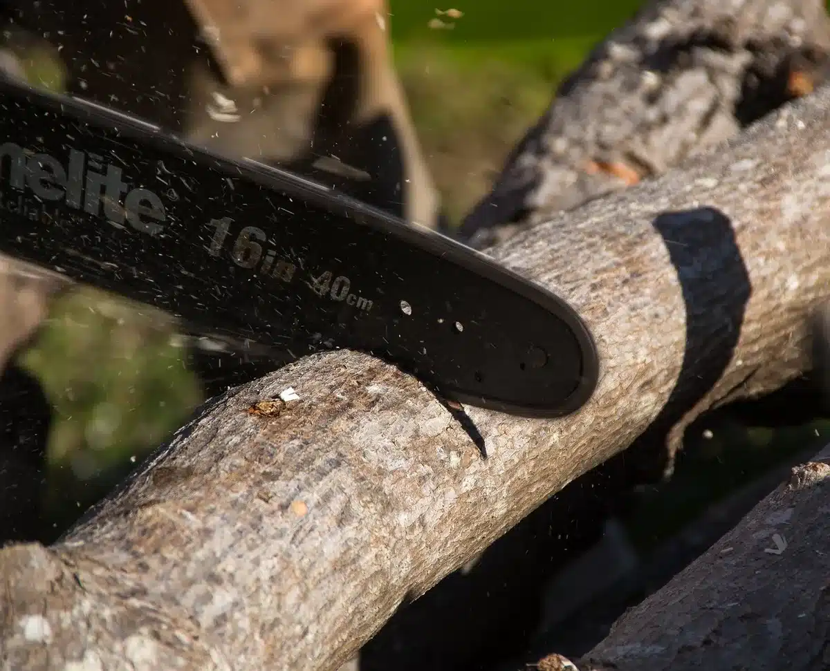 Outils de taille posés sur une table de jardin à côté d'une paire de gants
