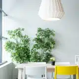 Maison neuve plain-pied : confort, économies d’énergie et valeur à la revente