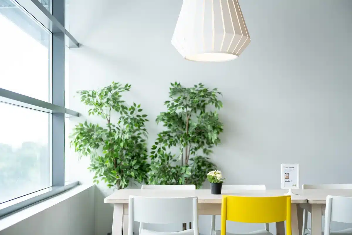 Intérieur de plain-pied avec grandes portes vitrées donnant sur le jardin en plein jour